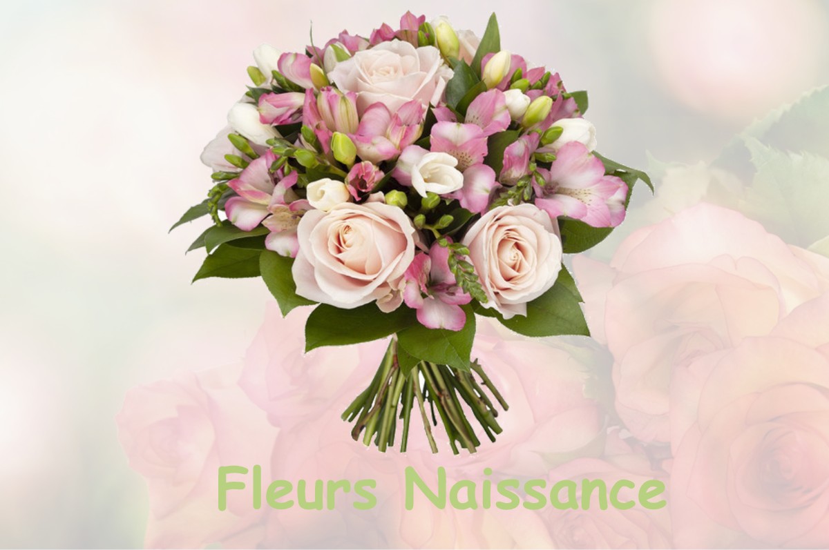 fleurs naissance BOESSES