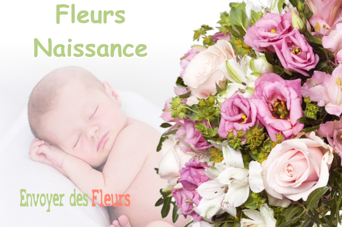 lIVRAISON FLEURS NAISSANCE à BOESSES